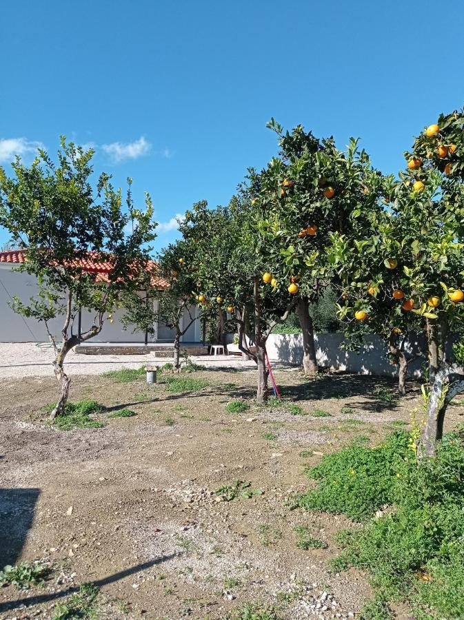 Avocado House Finikounta Exterior foto