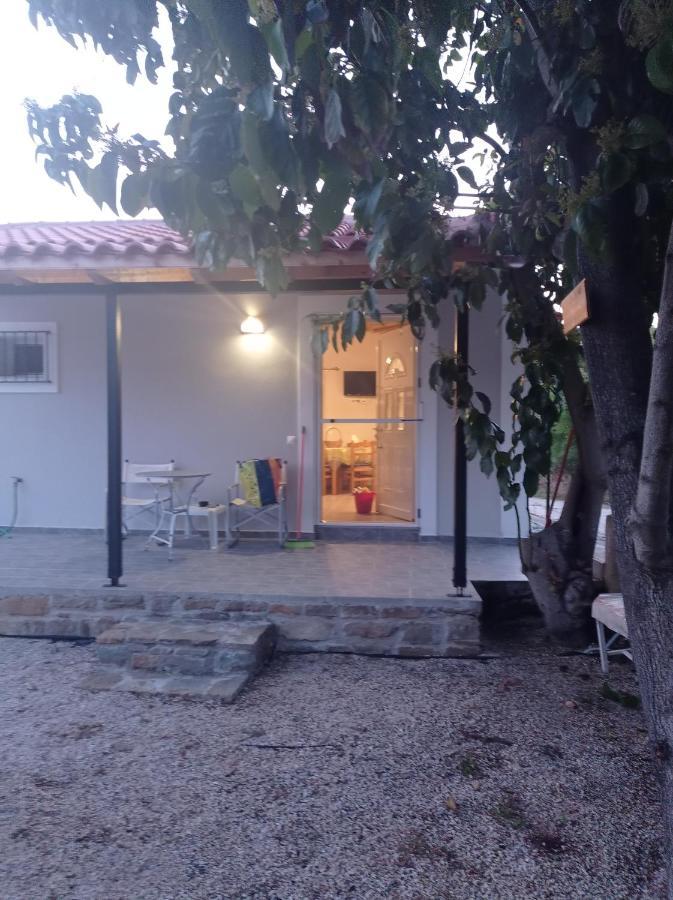 Avocado House Finikounta Exterior foto