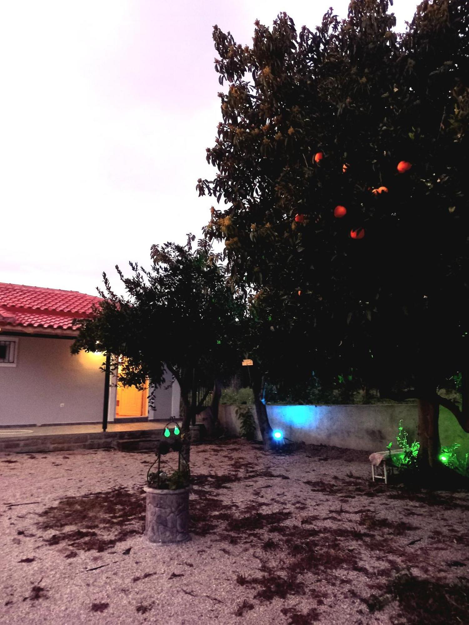 Avocado House Finikounta Exterior foto